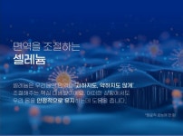 [아마란스] 닥터블루 프로바이오틱스 : 피누스스토어 온새미로
