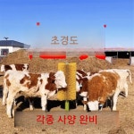 카우브러쉬 축사 긁개 빗질 그루밍 양 중형 대형 : 업소 도매 팩토리
