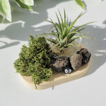 아벨드 힐링 취미선물 워터클레이 DIY 키트 단체수업용 친환경 공예 미술체험 인테리어 오브제 만들기 : 베네드