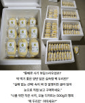 태국 항공직송 생두리안 통두리안 팩두리안 생과 : 협동농수산