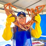 국산 울진 대게 박달 홍게 영덕 후포리 자숙 택배 5마리 : 씨유수산