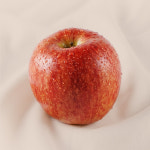 [녹색농장] [선물세트] 특2호 특3호 저탄소 GAP 안심 사과 : 녹색농장 GreenFarm