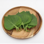 향긋한 유기농 깻잎 30g 소포장 쌈 장아찌용 밑반찬만들기용 생깻잎 : 식탁 위의 봄날