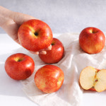 [녹색농장] [선물세트] 특2호 특3호 저탄소 GAP 안심 사과 : 녹색농장 GreenFarm