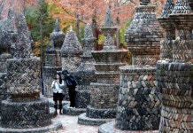 [부산출발] 설연휴 충청도 1박2일 특선 겨울 설여행 스마일여행사 우등버스 : 스마일여행사