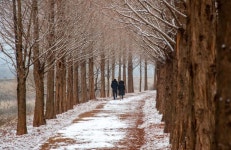 [부산출발] 설연휴 충청도 1박2일 특선 겨울 설여행 스마일여행사 우등버스 : 스마일여행사