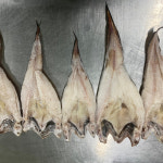 반건조 나막스 붉은메기 550g 5미 손질 저염 : 위닝파트너스