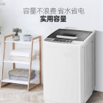 미니사이즈 세탁기 자취용 초소형 속옷 양말 걸레 50형 스마트 에어 드라이닝 : 직구용마트