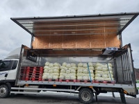 (원유통)국내산 양파 신선한 5kg/10kg : One유통