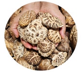 정남진 표고추어탕 450g 10팩 국내산 미꾸라지와 표고버섯이 들어간 맛있는 보양식 : 정남진 표고추어탕