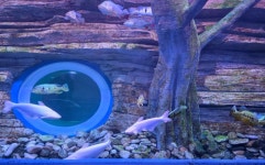 [부산출발] 설연휴 수안보 온천여행 1박2일 설여행 스마일여행사 우등버스 6식제공 : 스마일여행사