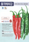 돌격에최강 고추 500립 중생종 대과종 신미계 최초 복합내병계 극한매운맛 고추 씨앗 사카타코리아 : 정산흥농종묘농약사