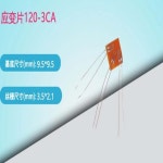 10PCS 스트레인 센서 1203CA프리 터미널 게이지 : 충일테크