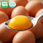 닥터안스에그 중란 대란 특란 무항생제 달걀 생란 당일생산 수의사 계란 30구+30구 : 안일농장