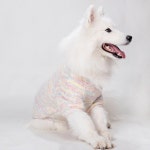 애견옷 강아지 스웨터 골든 패션 중대형견 두발 하스키 사모예드 가을겨울 리트리버 : 파스텔잡화점