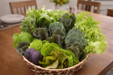 모듬 쌈채소 샐러드야채 쌈 상추 로메인 케일 유러피안 : 양평희망농장