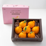 [더조은푸드] 자연 그대로의 달콤한 한라봉 선물세트(실중량) 7과 내외 / 1.5kg : 더조은푸드