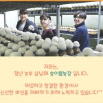 참발품 수확후발송 참송이 노루궁뎅이버섯 무농약 : 참발품