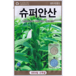 슈퍼안산참깨 종자 3000립 : 씨앗편의점