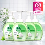 데톨 포밍 항균 핸드워시 애플블로썸, 250ml, 4개 : 레킷코리아 공식몰