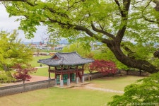 고창 당일여행 - 선운사+고창읍성+학원농장+고창청보리 / 높고도 푸르른 그 곳 : 트립앤미