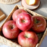 함양 청춘농원 부사사과 GAP 사과 5kg 가정용 선물용 : 청춘 농원 나는 농부다