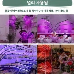 씨유뉴화성장덕점 | 클립형 LED식물 성장등 2구 화분 식물 전용 : 씨유인터내셔널