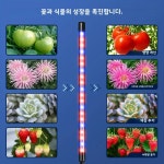 씨유뉴화성장덕점 | 클립형 LED식물 성장등 2구 화분 식물 전용 : 씨유인터내셔널