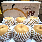 청하농원 배 10kg(가정용) : 김제지평선몰