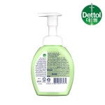 데톨 포밍 항균 핸드워시 애플블로썸, 250ml, 2개 : 레킷코리아 공식몰