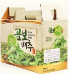 [엄마애손] 국내산 곰보배추즙 60포 건강즙 속쓰림 완화 위장개선 피부개선 : 바이웰 Bywell