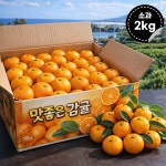제주 서귀포 초고당도 조생감귤 산지직송 최대16브릭스 품질보장 소과(꼬마,S), 2kg, 1개 : 과일홀릭 패쓰러브온