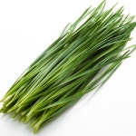 국내산 부추 (특) 4kg : 백씨네 농산물