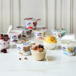 [본사직영] 파예 프루요 그릭요거트 150g 스트라차텔라 외 6종 x 6개 : 엘에프푸드-메종드구르메