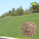 혼합 잔디풀씨 2kg 비탈면보호 씨앗 토양유실장비 산림복구 : 한농마트