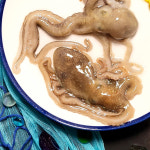 오늘잡은 중대낙지 5마리 목포 세발 낙지 무안 산낙지 신안 뻘낙지 중대, 130g, 5개 : 셀링피쉬