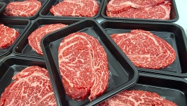 ++1등급 한우 꽃등심 부채살 투뿔 골라담기 소고기 선물세트 : 마루온정육점