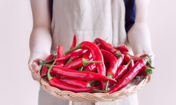 [생산자 직배송] 땅끝 해남 (특품) 햇 홍고추 500g, 1개 : 한들농장