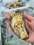 석화연서면본점거제 | 거제도 자연산석화 제철 자연산 굴 오마마농수산 : 오마마농수산