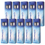 앨트웰 칫솔 40개 이중미세모 앨트센스 덴탈케어 치석제거 칫솔 : 엠마스토리