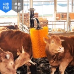 스윙 카우브러쉬 HS-SW800 소등긁개 빗질 축산기자재 : 황소농기계