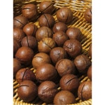 마카다미아 까는 도구 껍질 쉘러 사이즈조절X 304 호두깍기 1개 깍기 H3031 마카다미아 세 봉지 : 글로벌스텝