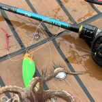 다이와 25 타코이카 X 플러스 선상쭈꾸미 갑오징어 낚시대 165MH, 1.65m : 다솔낚시마트 2동탄점