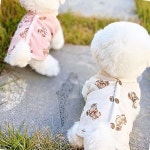 체크베어 조끼 강아지산책옷 강아지패션 펫패션 : 현스토어77