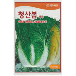 청산봄배추 종자300립 : 씨앗편의점