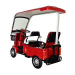 와이엘코리아 YL실버플러스 캐노피 2인승 어르신전동차 : 와이엘코리아