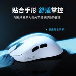 AJAZZ AJ179V2 오른손 자기 PAW3311 3395 8K 마우스 모드 무선 게임 AJ179v2 400mAh 1 : 일상픽스