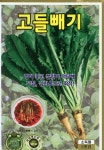 고들빼기씨앗 5000립 KS종묘 : 구씨네씨앗가게