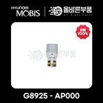 [현대모비스순정] LED전구 T10 타입 (G8925-AP000) : 올바른부품