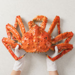 귀한 킹크랩 북해도산 레드 암킹크랩 수율a급 : 해담지